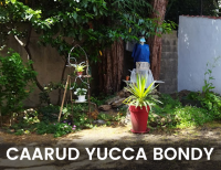 clic sur logo CAARUD YUCCA BONDY